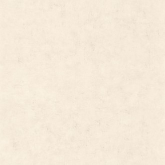 Picture of Beton Uni Taupe Beige Clair - BET101481258