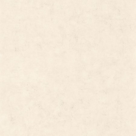Picture of Beton Uni Taupe Beige Clair - BET101481258