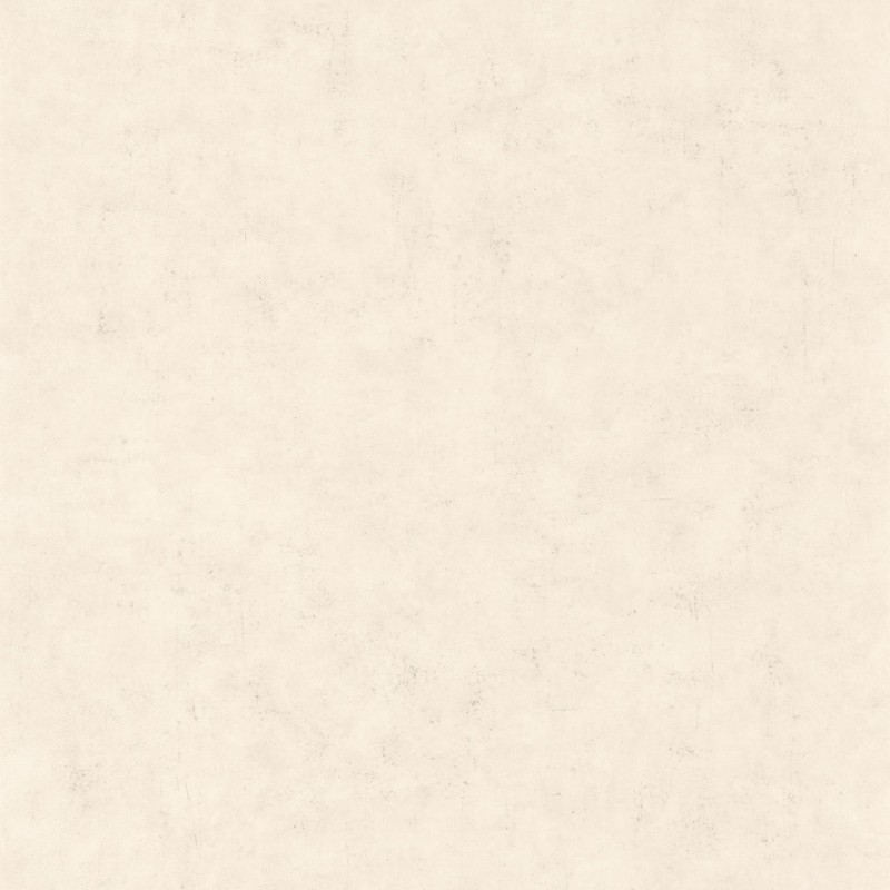 Picture of Beton Uni Taupe Beige Clair - BET101481258