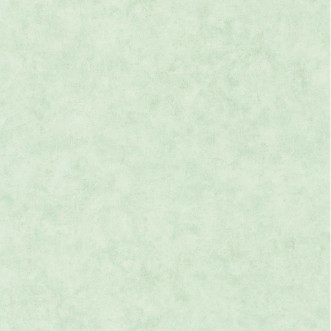 Picture of Beton Uni Vert D Eau Clair - BET101487400