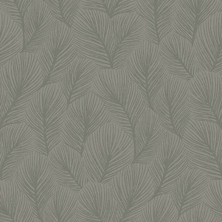 Image de Pine Tree - 4704