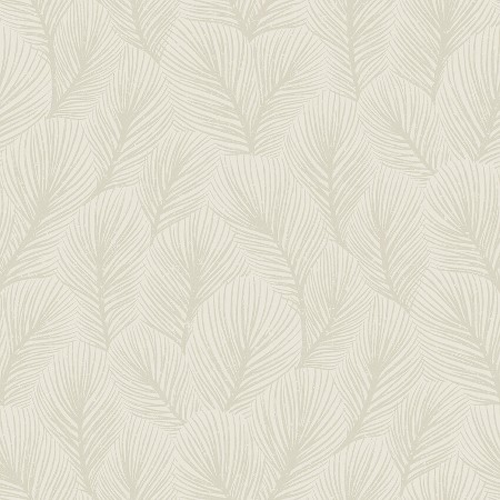 Image de Pine Tree - 4706