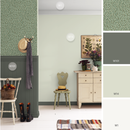 Image de Coloration - Wilma T-001-00024-02