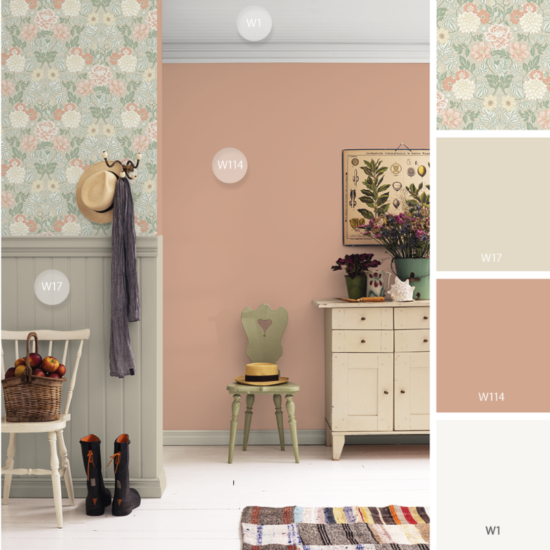 Image de Coloration - Wilma T-001-00026-01