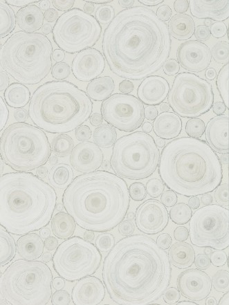 Image de Alnwick Logs Driftwood - DEBB216508