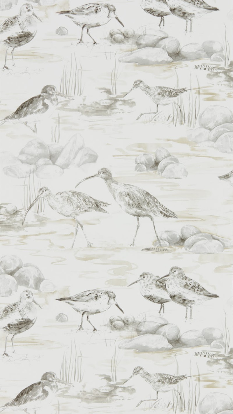 Image de Estuary Birds Chalk/Sepia - DEBB216493