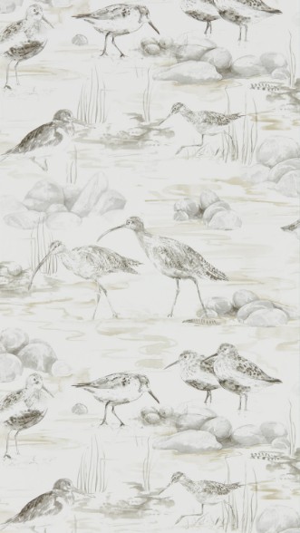 Image de Estuary Birds Chalk/Sepia - DEBB216493