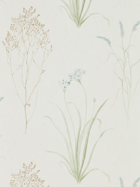 Picture of Farne Grasses Cream/Sage - DEBB216486