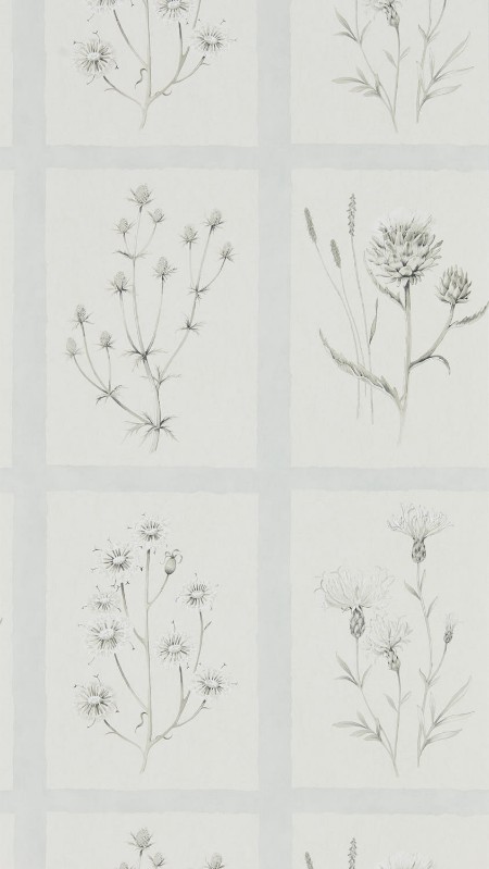 Picture of Little Thistles Grey Blue - DEBB216513