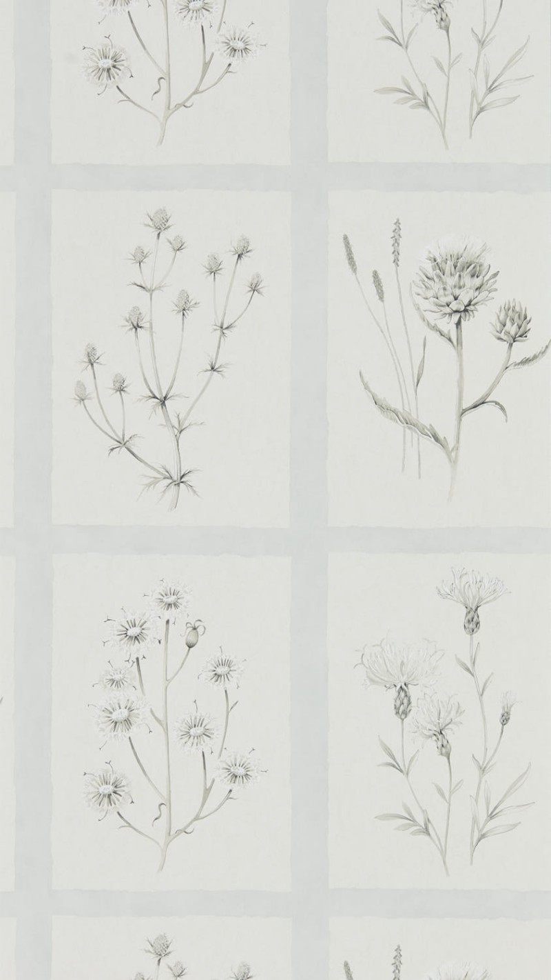 Afbeeldingen van Little Thistles Grey Blue - DEBB216513