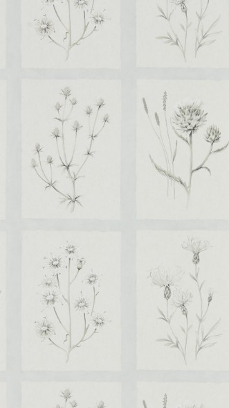 Picture of Little Thistles Grey Blue - DEBB216513