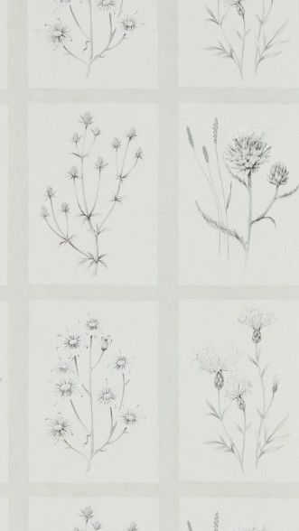 Image de Little Thistles Pewter - DEBB216512