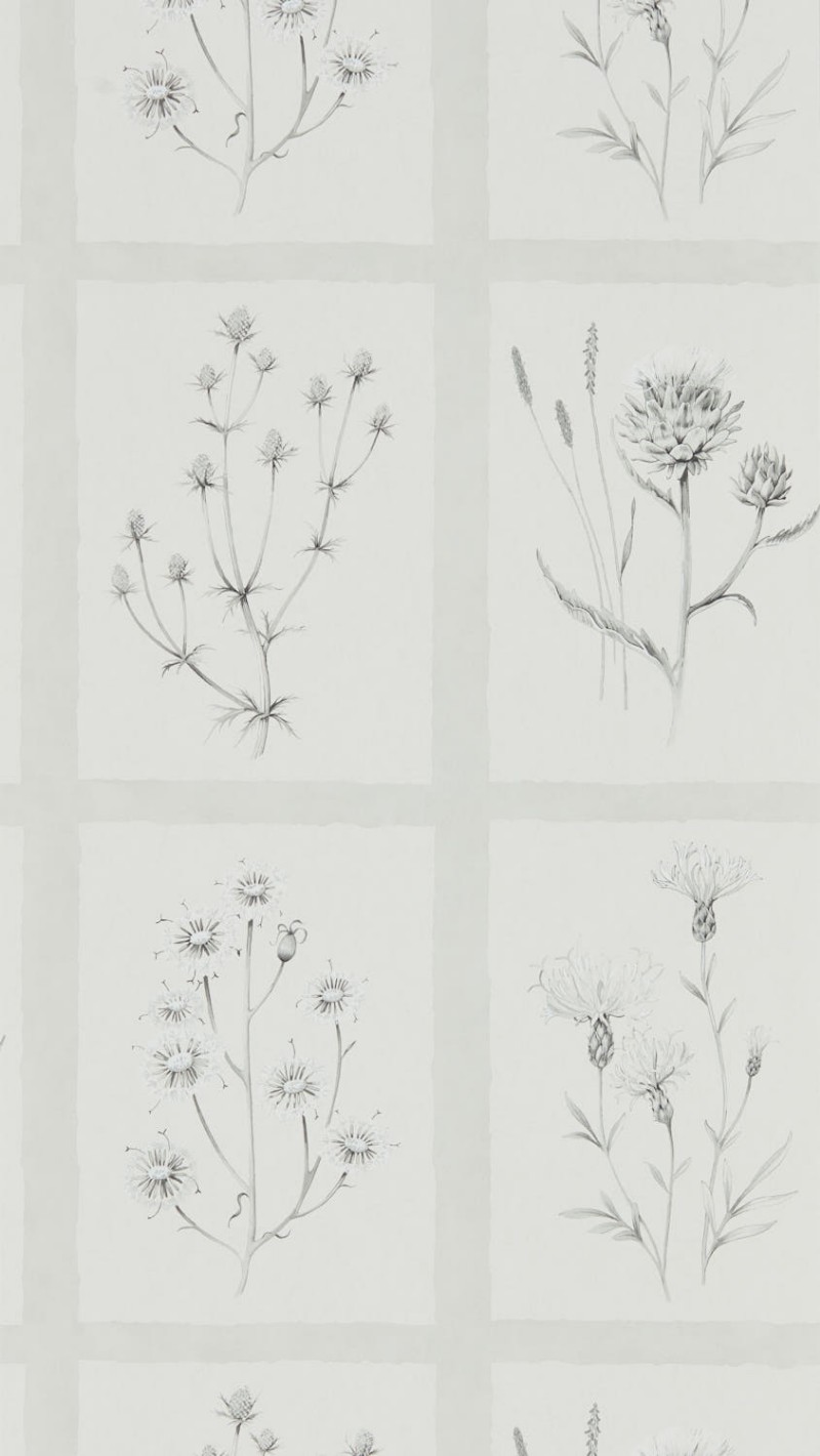 Picture of Little Thistles Pewter - DEBB216512