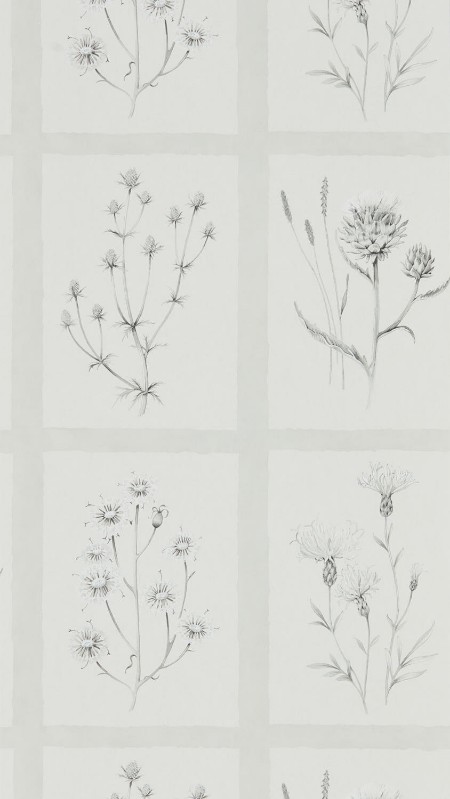 Picture of Little Thistles Pewter - DEBB216512