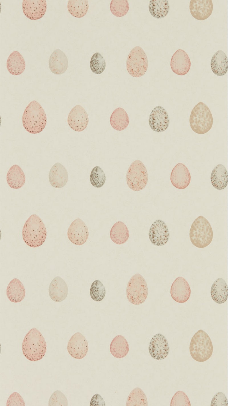 Picture of Nest Egg Blush Pink - DEBB216506