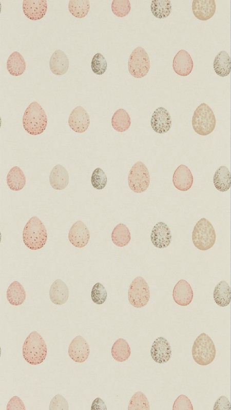 Picture of Nest Egg Blush Pink - DEBB216506