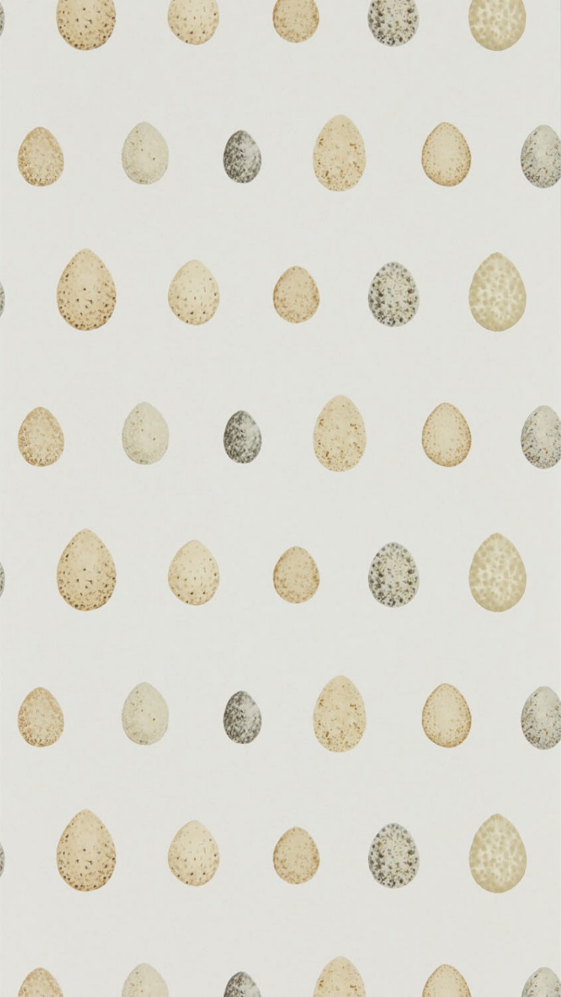 Picture of Nest Egg Corn Graphite - DEBB216505