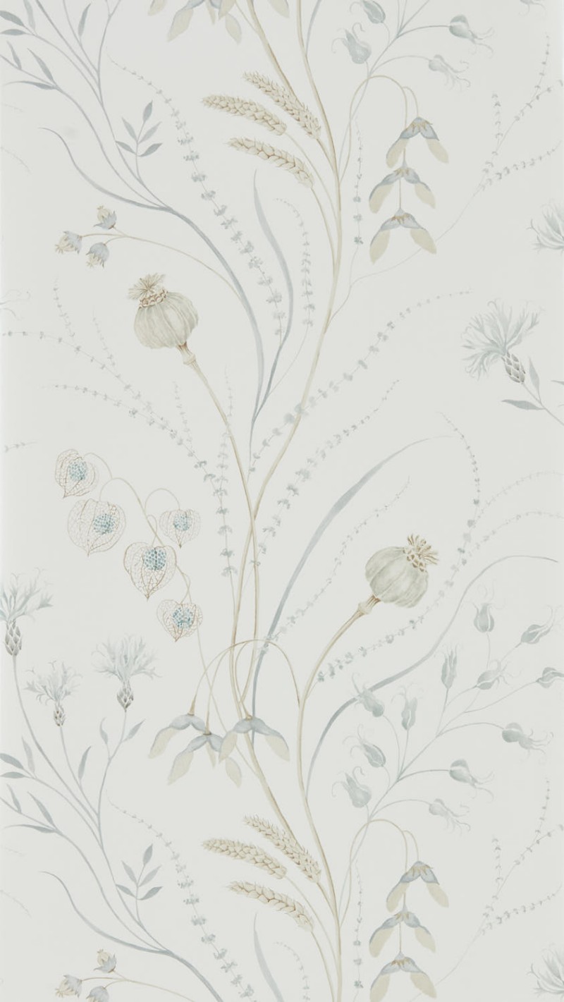 Picture of Summer Harvest Silver/Chalk - DEBB216498