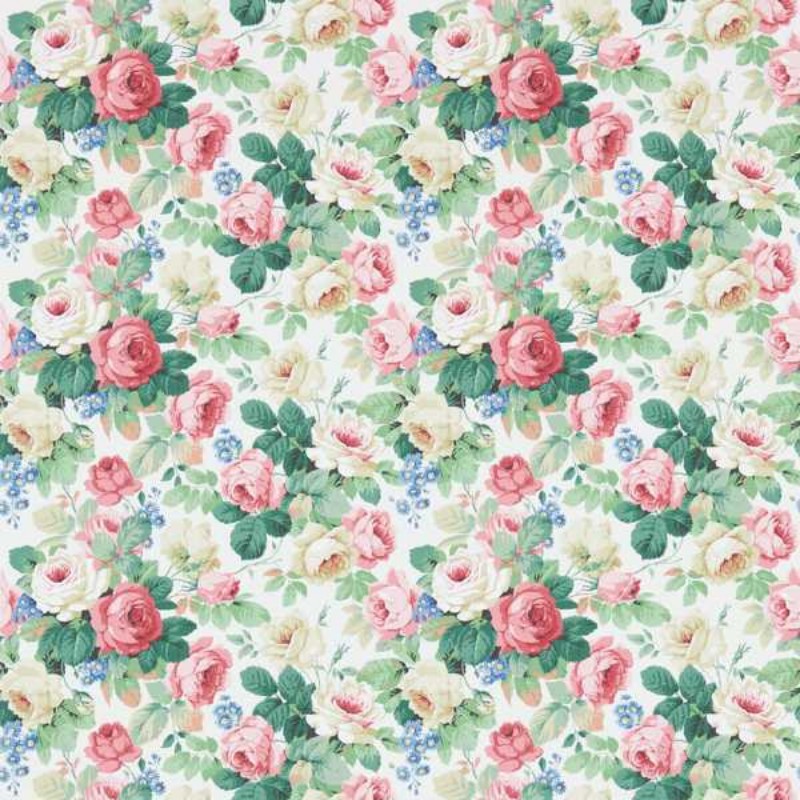 Picture of Chelsea White/Pink - DVIN214606