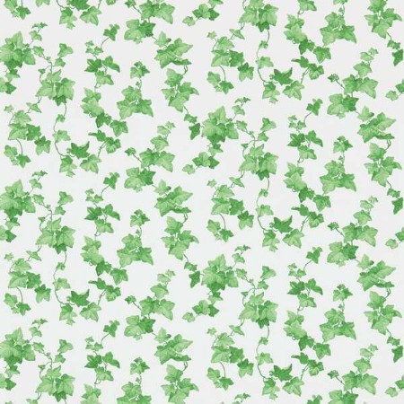 Bild von Hedera Green - DVIN214593