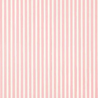 Image de NEW TIGER STRIPE Rose/Ivory - DCAVTP101