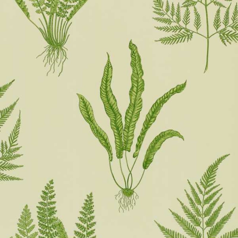 Image de WOODLAND FERNS Green - DAPGWO102