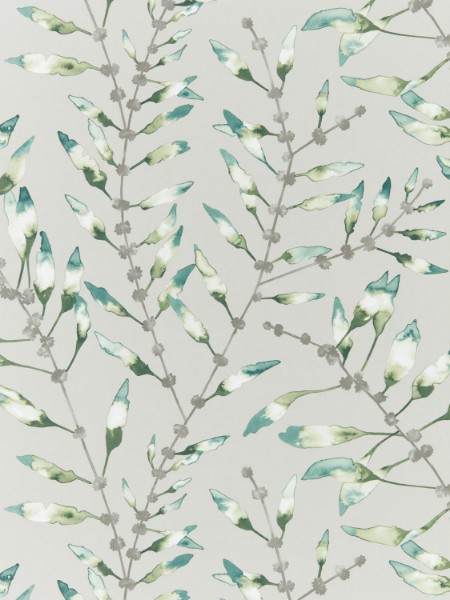 Bild på Chaconia - HANZ111634