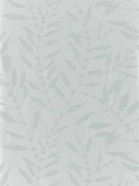 Bild på Chaconia Shimmer - HANZ111658