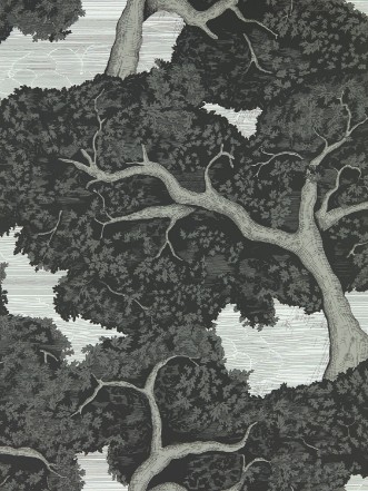 Picture of Eternal Oak Ebony/First Light - HC4W113040