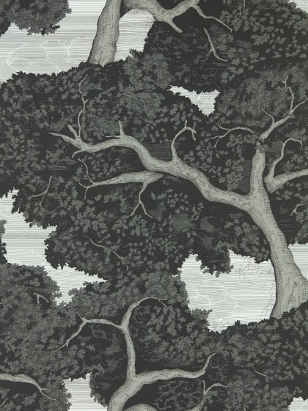 Bild på Eternal Oak Ebony/First Light - HC4W113040