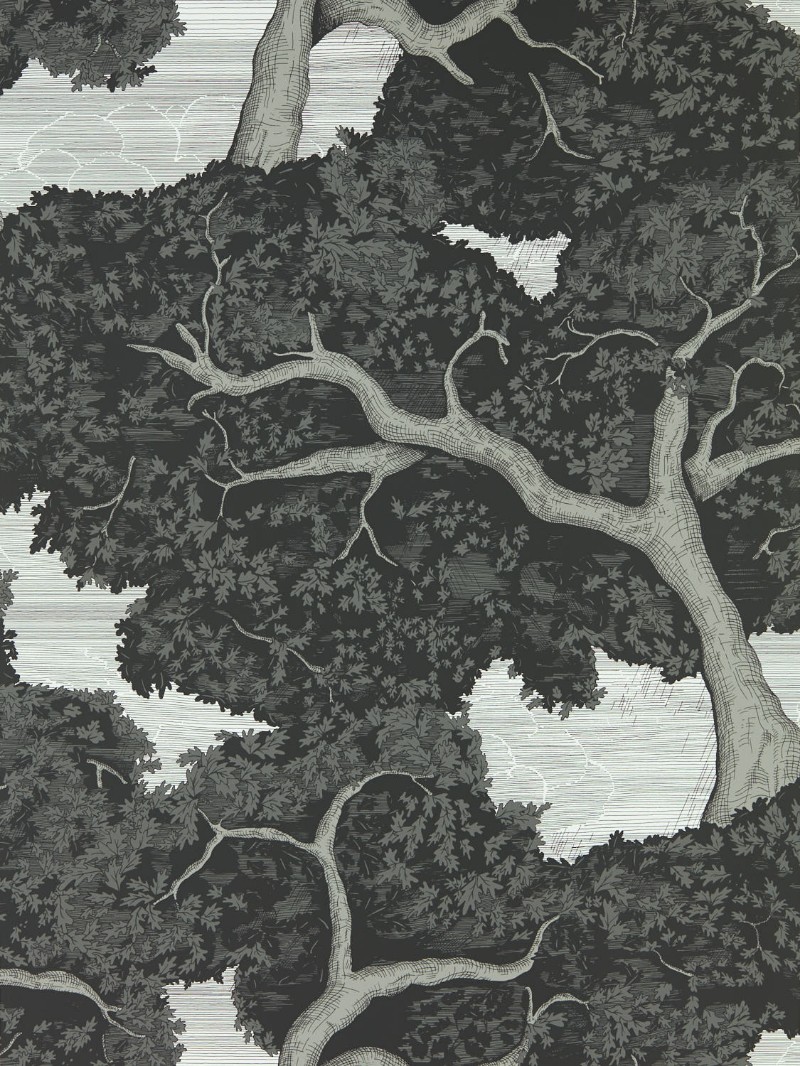 Picture of Eternal Oak Ebony/First Light - HC4W113040