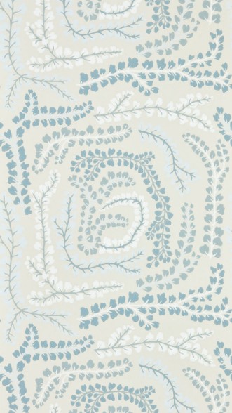 Picture of Fayola Celestial/First Light - HC4W113020