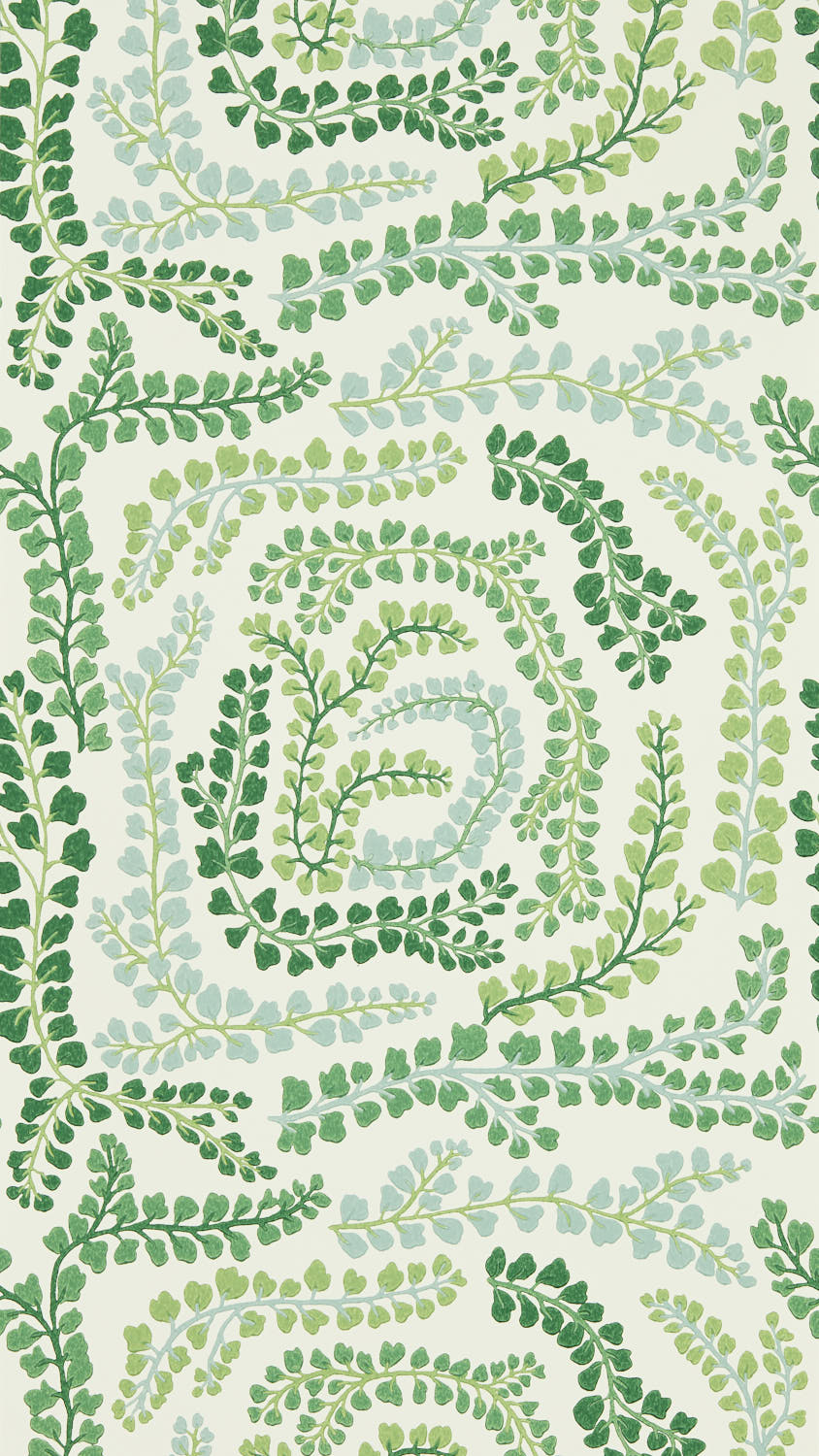 Picture of Fayola Clover/Chalk - HC4W113021