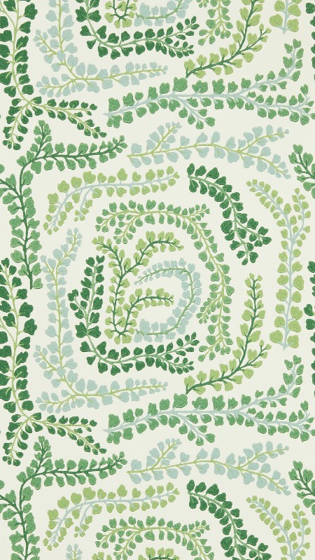 Picture of Fayola Clover/Chalk - HC4W113021