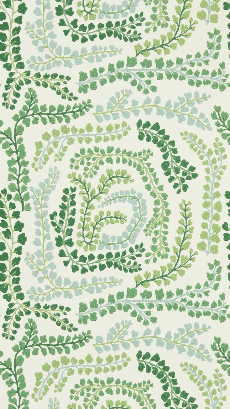 Afbeeldingen van Fayola Clover/Chalk - HC4W113021