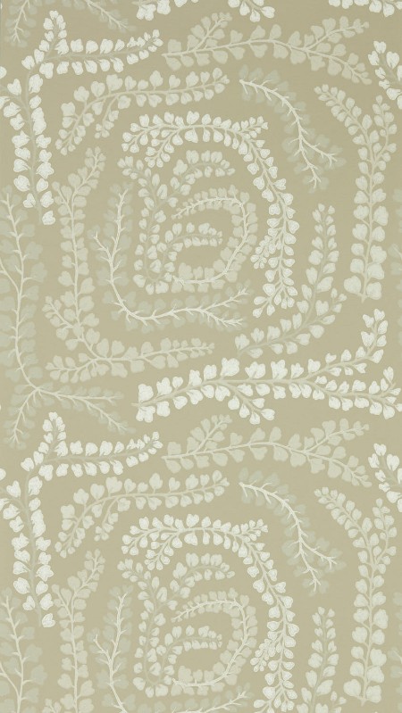 Picture of Fayola Incense/First Light - HC4W113018