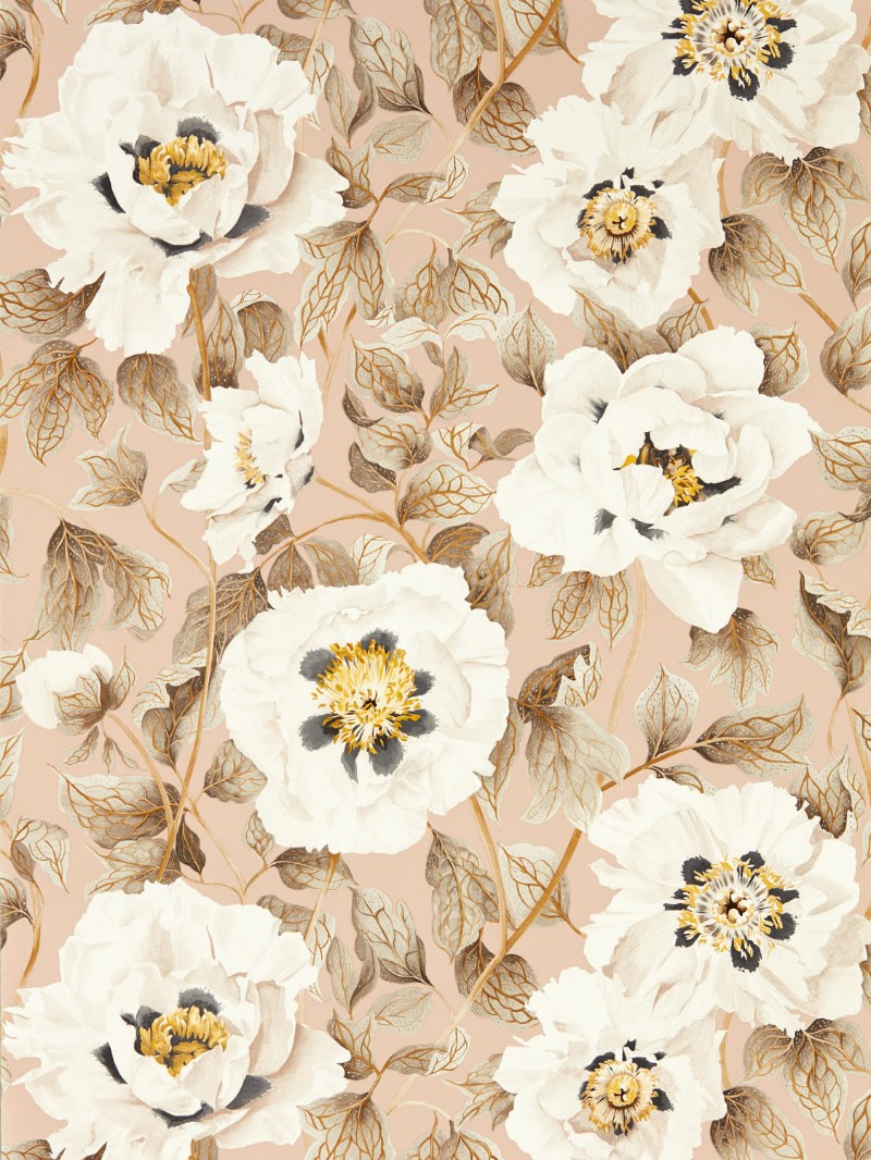 Picture of Florent Positano/Maple/Graphite - HC4W113014