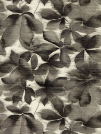 Picture of Grounded Black Earth/Parchment - HC4W113005