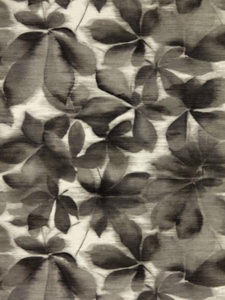 Picture of Grounded Black Earth/Parchment - HC4W113005