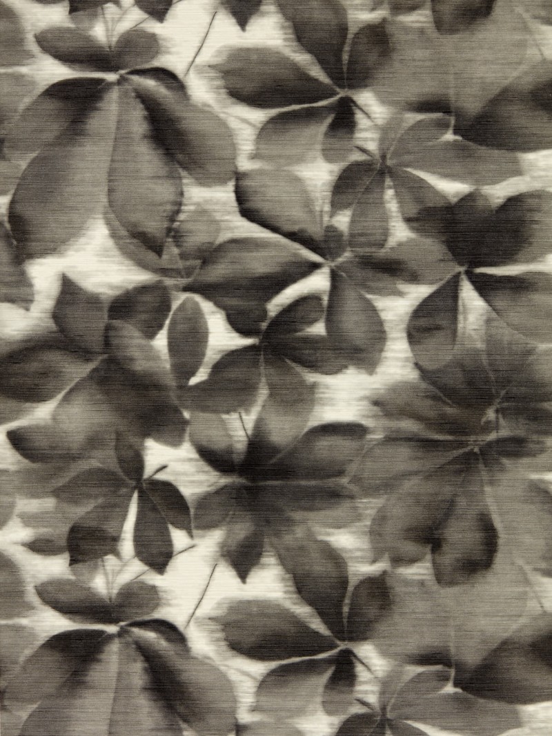 Picture of Grounded Black Earth/Parchment - HC4W113005