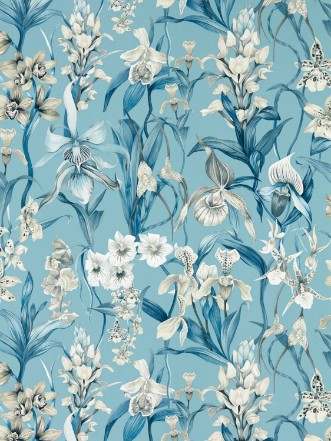 Picture of Kalina Celestial/Murmuration/Awakening - HC4W113008