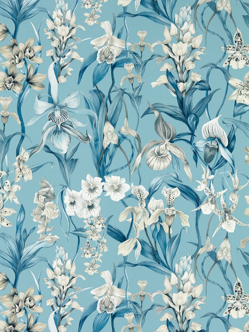 Image de Kalina Celestial/Murmuration/Awakening - HC4W113008