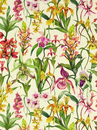 Picture of Kalina Parchment/Forest/Azalea - HC4W113009