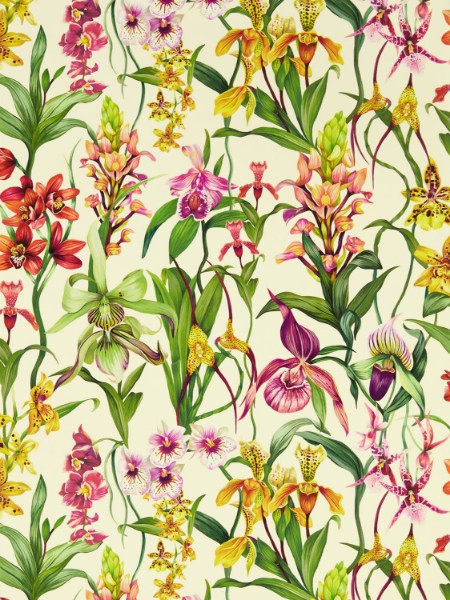 Bild på Kalina Parchment/Forest/Azalea - HC4W113009