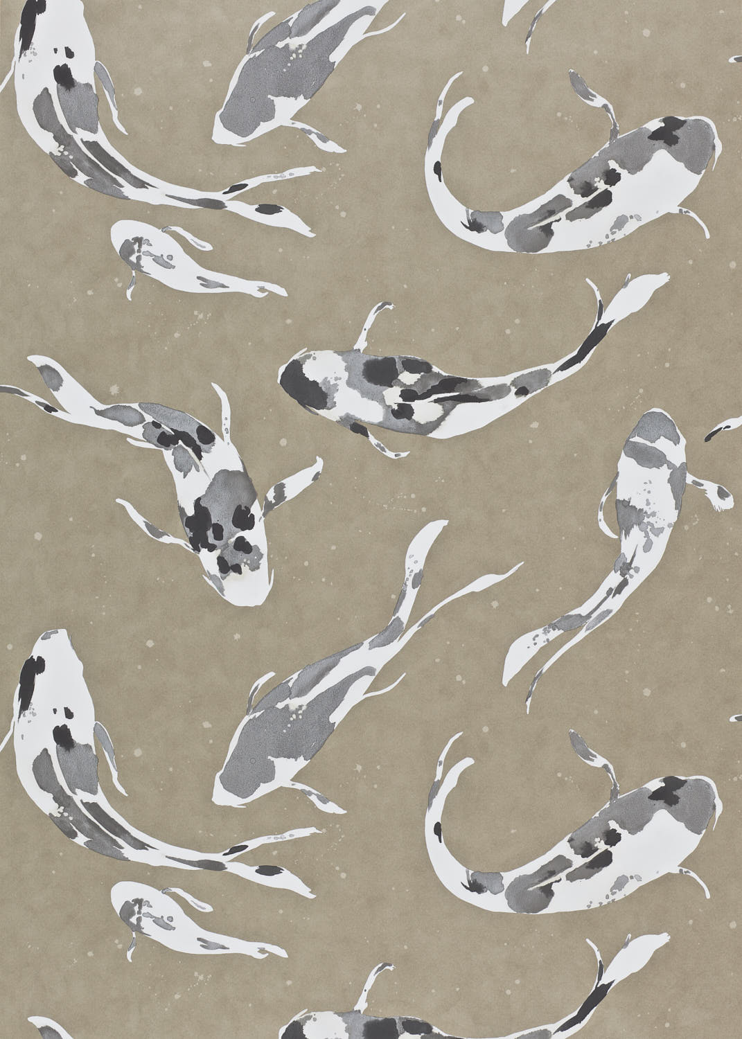 Bild på Koi - HMOW110900