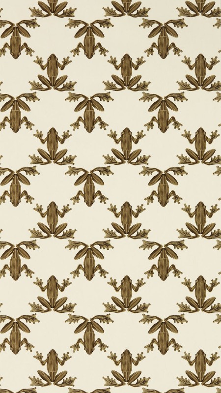 Image de Wood Frog Gold/Parchment - HC4W113013