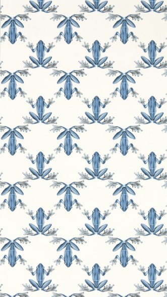 Picture of Wood Frog Wild Water/Chalk - HC4W113012