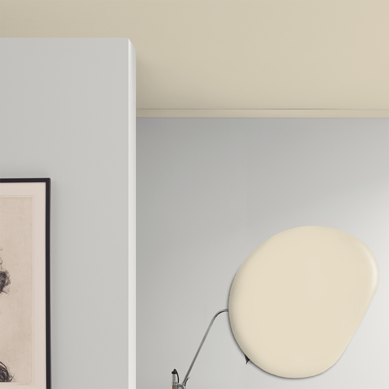 Image de Peinture pour plafond - Couleur W151 Oat milk by Anna Kubel