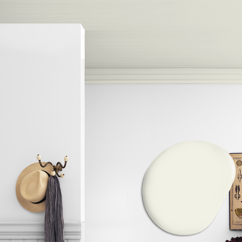 Picture of Ceiling paint - Colour W171 Stockholmsvit