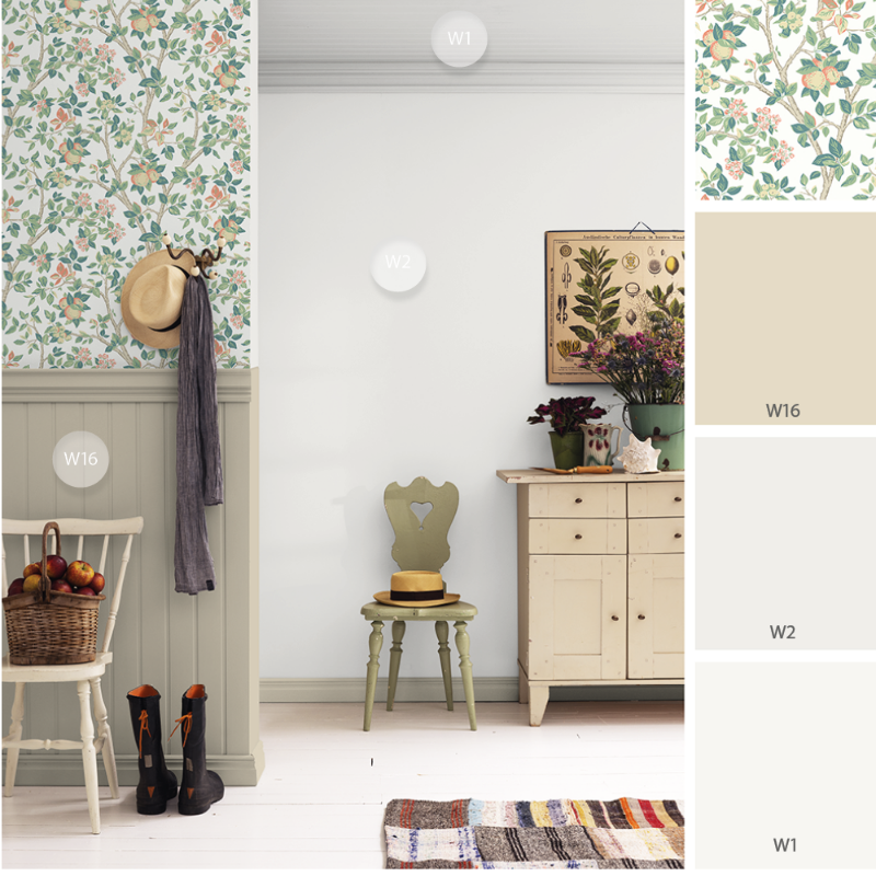 Image de Coloration - Wilma T-001-00060-01